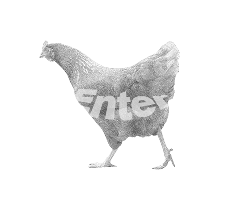 Enter